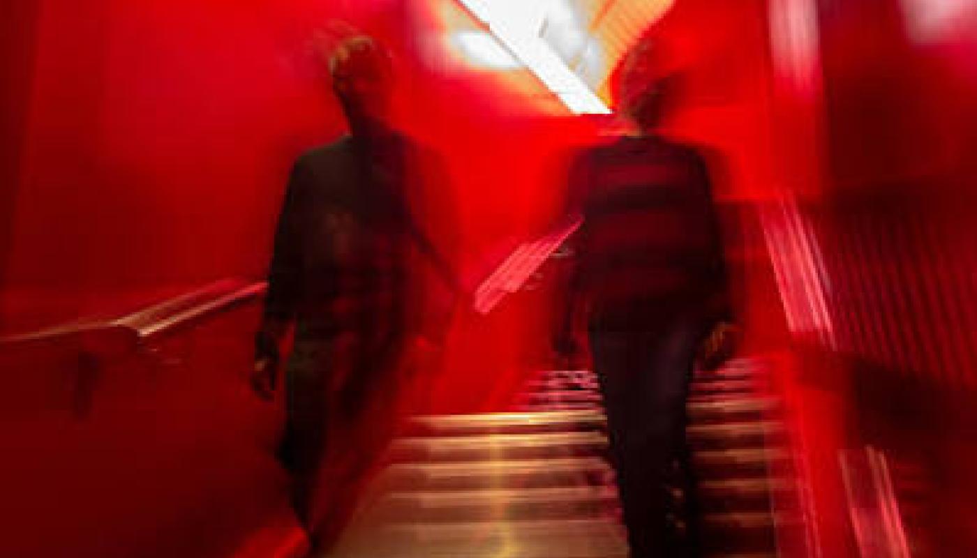 seefeel