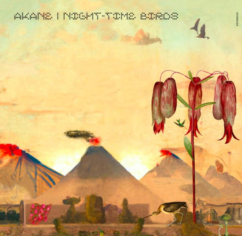 Portada Night-Time Birds